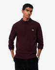 PULLOVER GIRICOLLO LACOSTE UOMO