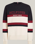 FELPA TOMMY HILFIGER UOMO