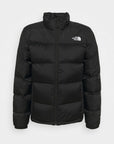 VESTE POUR HOMMES THE NORTH FACE