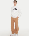 FELPA THE NORTH FACE UOMO