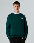 FELPA THE NORTH FACE UOMO