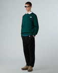FELPA THE NORTH FACE UOMO