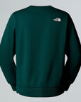 FELPA THE NORTH FACE UOMO