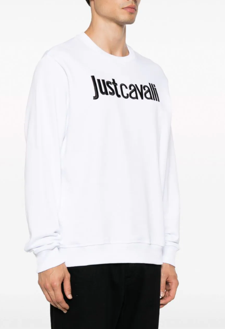 FELPA JUST CAVALLI UOMO HEMISPHERE VAIRANO