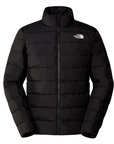 VESTE POUR HOMMES THE NORTH FACE