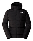 VESTE POUR HOMMES THE NORTH FACE