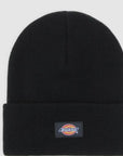 CAPPELLO DICKIES UNISEX