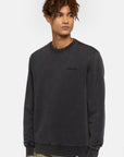 FELPA DICKIES UOMO