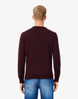PULLOVER LACOSTE UOMO