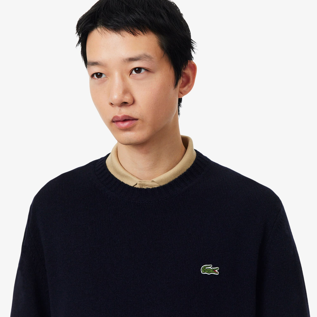 LACOSTE MEN'S PULLOVER