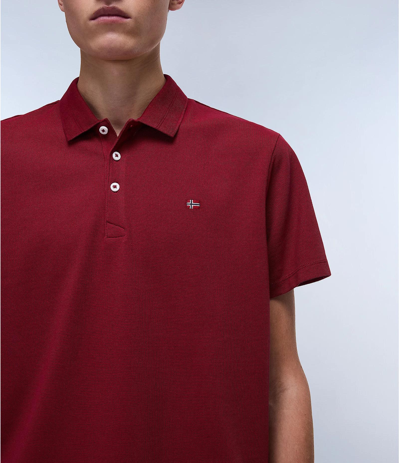 POLO NAPAPIJRI UOMO